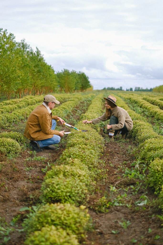 Farm and Hobby Farm Insurance