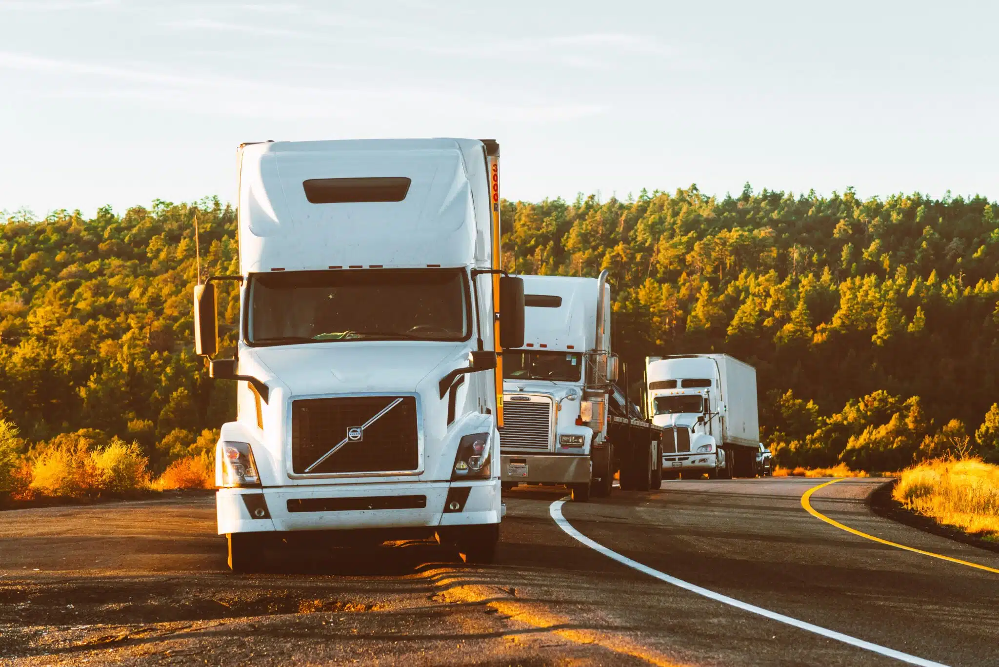 Transport and Logistics Insurance